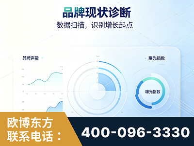 吐鲁番-品牌现状诊断